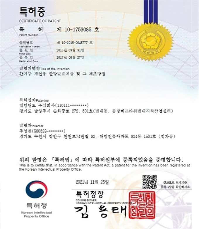 특허 제10-1753085호